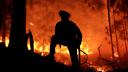 Griegos calculan el costo de la "tragedia" por incendios cerca de Atenas