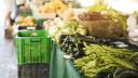 Hogares mexicanos gastan la mayor parte de sus ingresos en alimentos