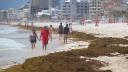 Sargazo da tregua al sur de Quintana Roo, pero se acumula en Cancún