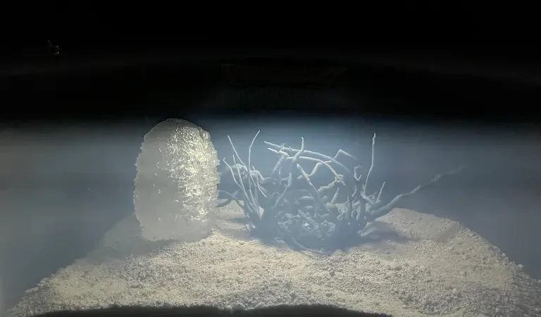 "Extra- Terrestre": Un laboratorio vivo para imaginar lo desconocido
