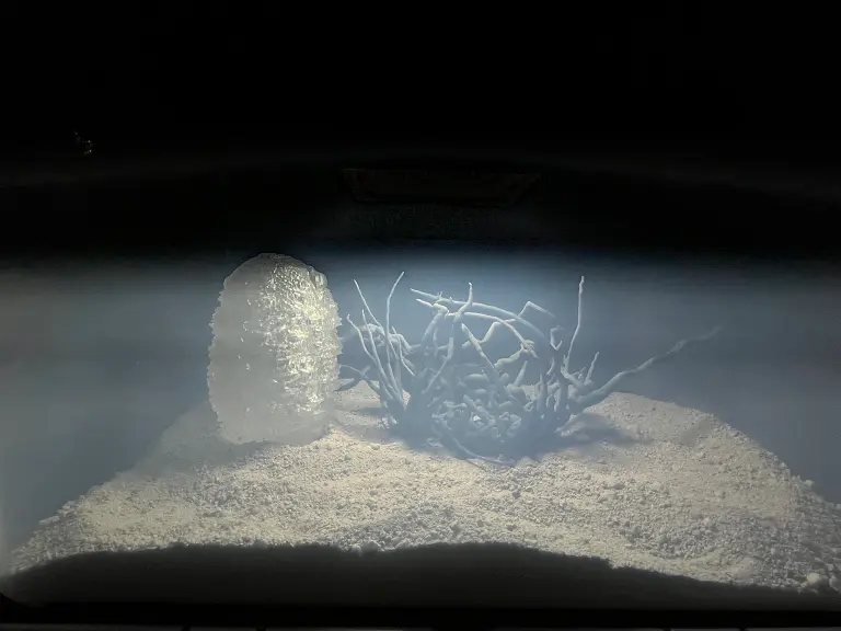 "Extra- Terrestre": Un laboratorio vivo para imaginar lo desconocido