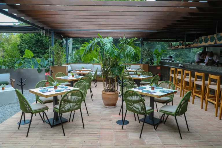 ¿Dónde comer? Perezoso, la terraza que combina sabor, estilo y comunidad en la Roma