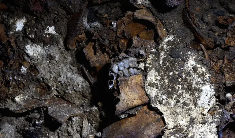 A 10 años del hallazgo del Huei Tzompantli, ¿qué sabemos de los cráneos encontrados?