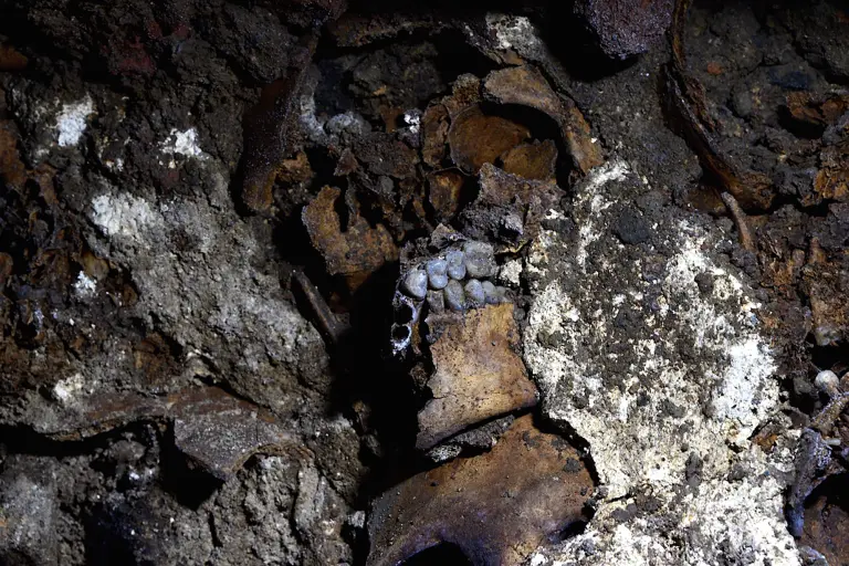 A 10 años del hallazgo del Huei Tzompantli, ¿qué sabemos de los cráneos encontrados?