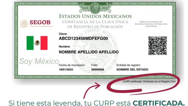 CURP certificada: así la puedes obtener en línea