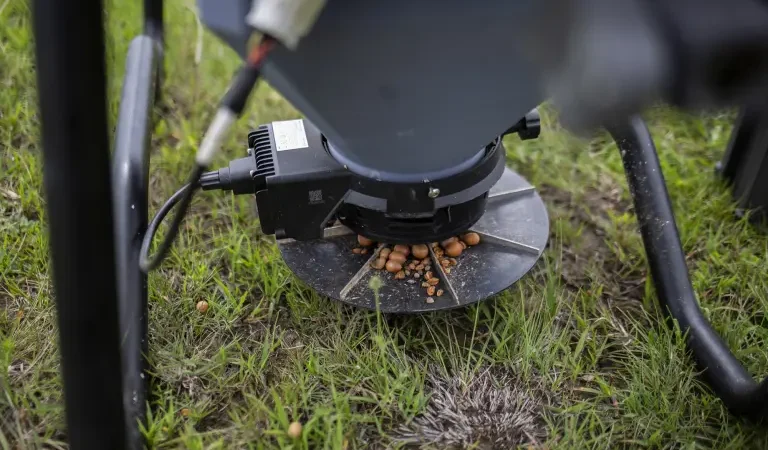 México usa drones para dispersar semillas y reforestar bosques quemados