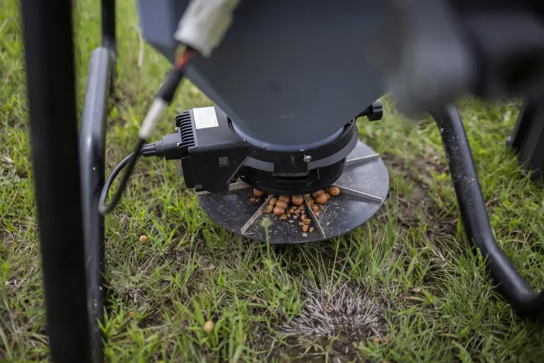 México usa drones para dispersar semillas y reforestar bosques quemados