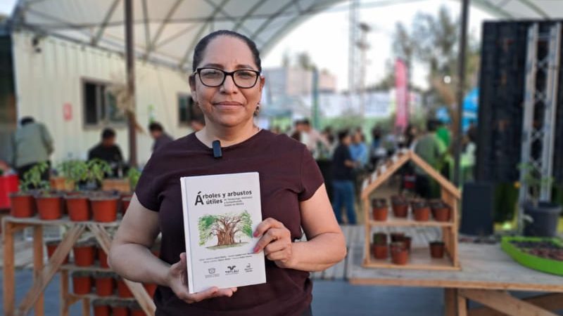Rescata libro “Árboles y Arbustos Útiles” conocimientos sobre plantas nativas
