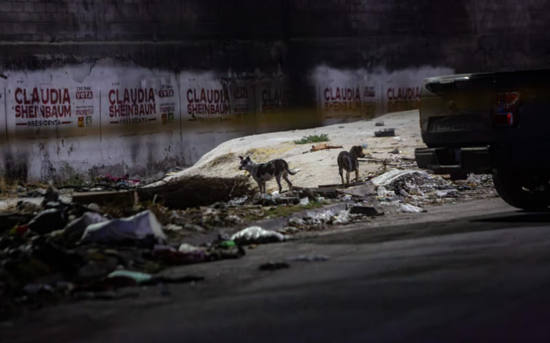 Cuerpo en llamas es localizado en la colonia Mariano Matamoros