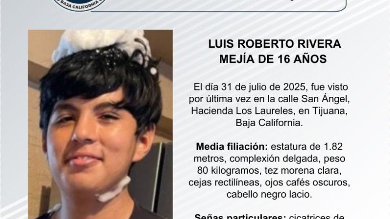 Pesquisa de Luis Roberto Rivera Mejía de 16 años de edad
