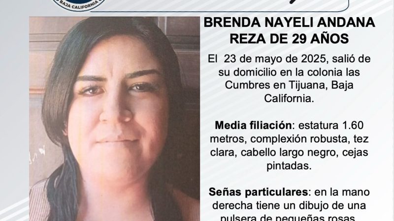 Pesquisa de Brenda Nayeli Andaba Reza de 29 años de edad