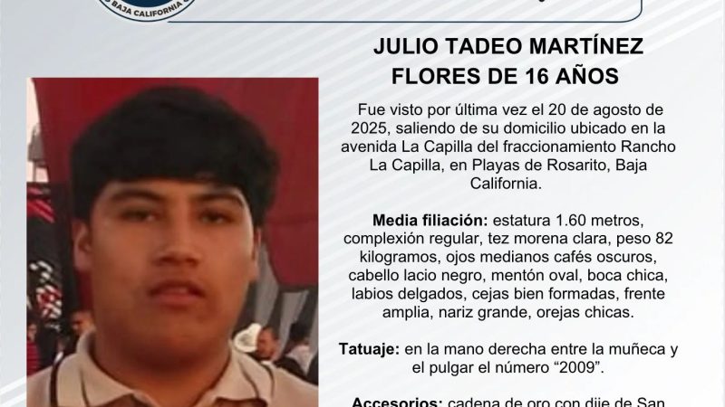 Pesquisa de Julio Tadeo Martínez Flores de 16 años de edad