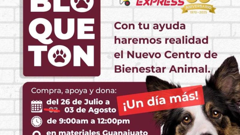 Mañana Domingo última oportunidad para sumarse al bloquetón