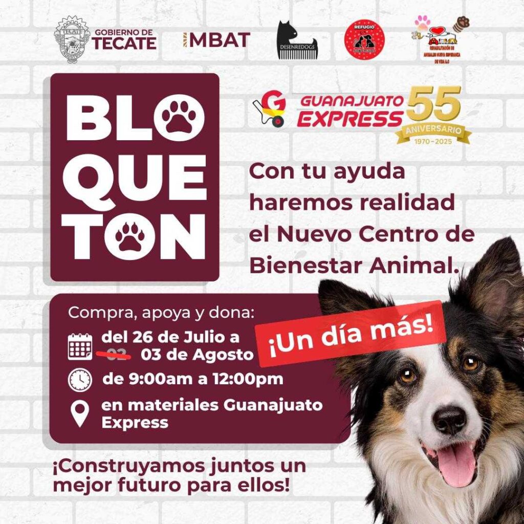 Mañana Domingo última oportunidad para sumarse al bloquetón