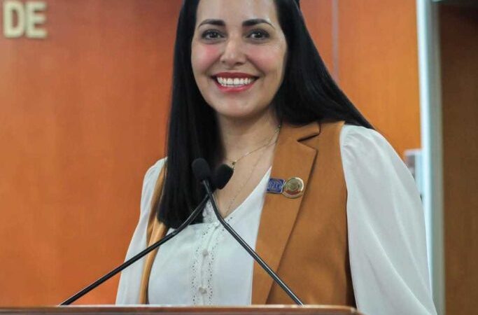 Ante apagones en el verano , es tiempo de legislar con previsión y visión