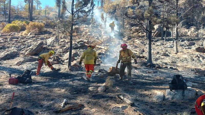 Informa Protección Civil Estatal avance en el combate al incendio forestal en San Pedro Mártir