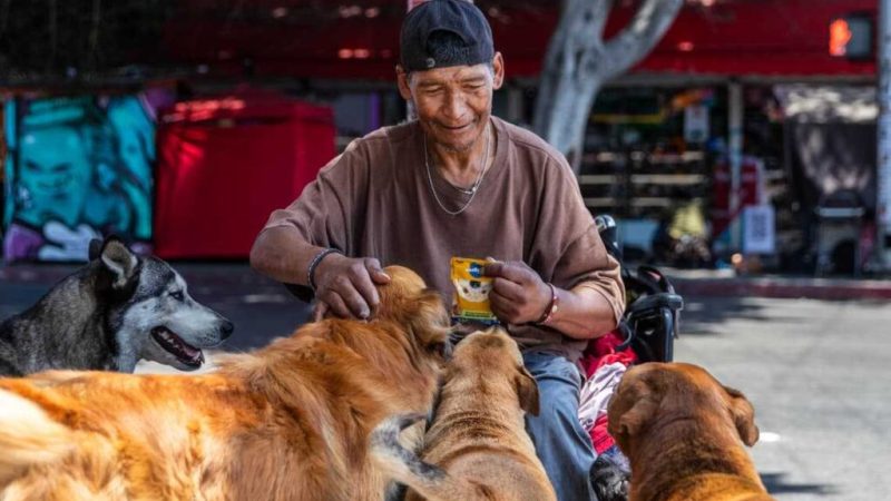 A pesar de no tener un hogar, el señor Flores rescata y cuida a perritos de la calle