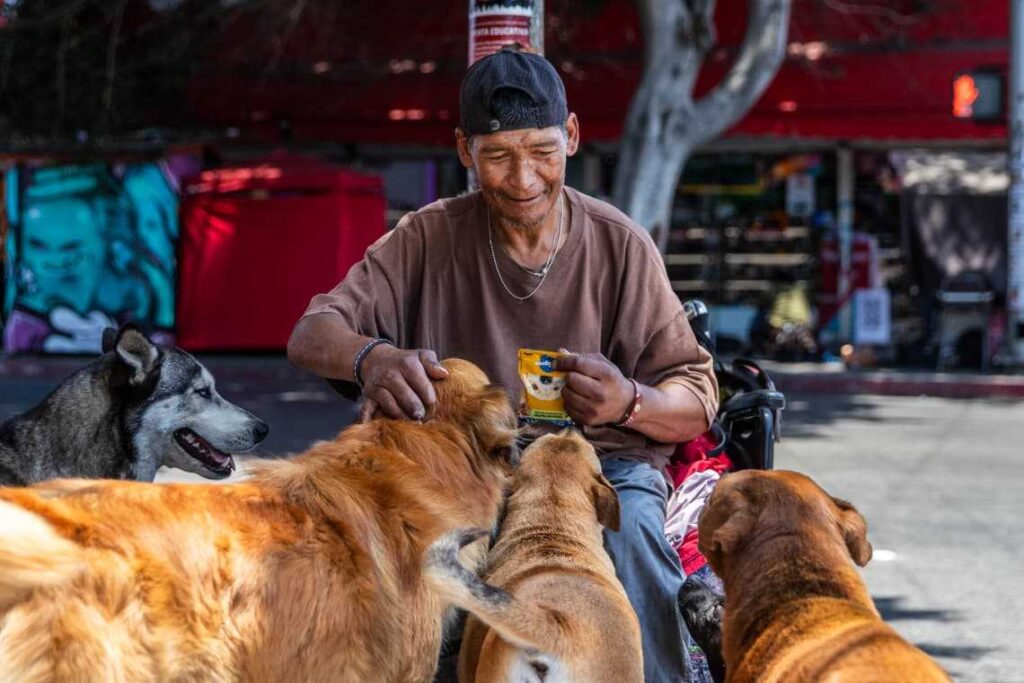 A pesar de no tener un hogar, el señor Flores rescata y cuida a perritos de la calle