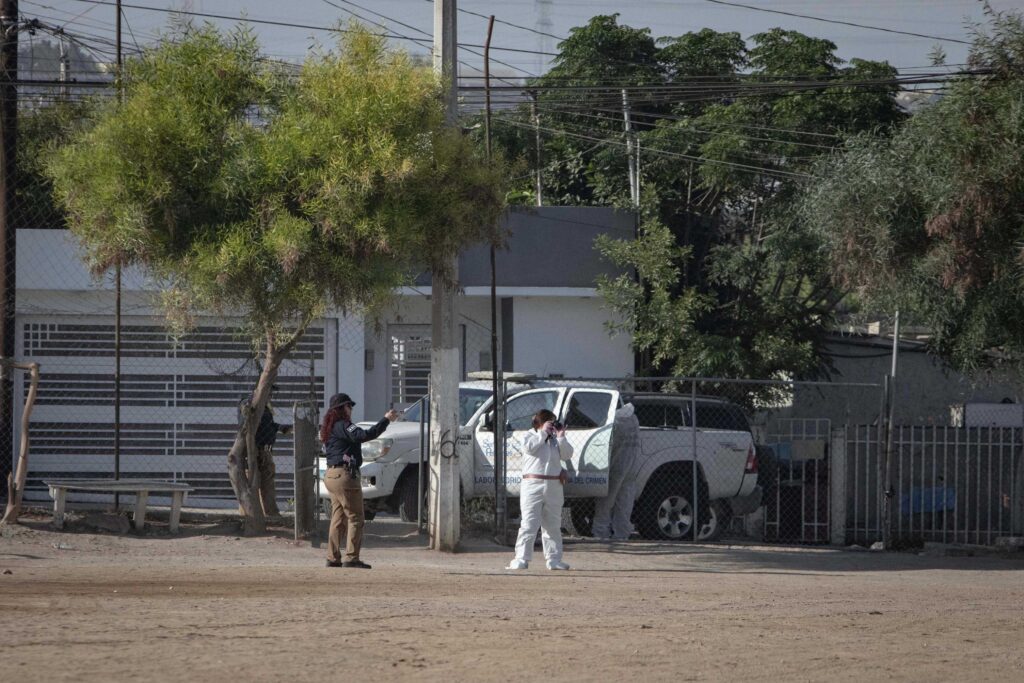 Localizan persona sin vida en las canchas de Valle Verde
