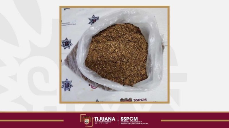 Capturan elementos municipales de Tijuana a presunto asaltante de tiendas Oxxo en posesión de droga