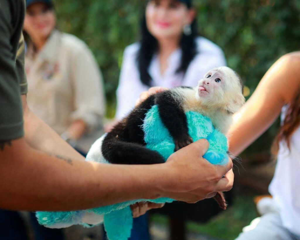 Encabeza Gobernadora Marina del Pilar inauguración de capybara village como un espacio familiar y de conservación animal en Ensenada