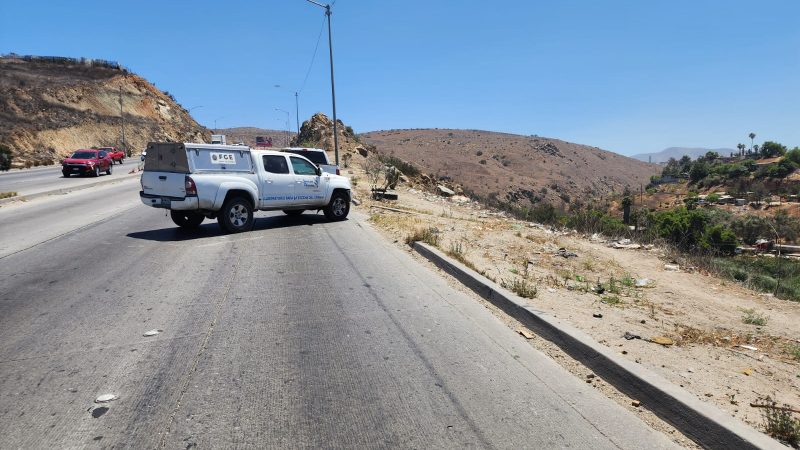 Hombre detenido por maltrato o crueldad animal