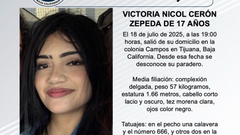 Pesquisa de Victoria Nicol Cerón Zepeda de 17 años de edad