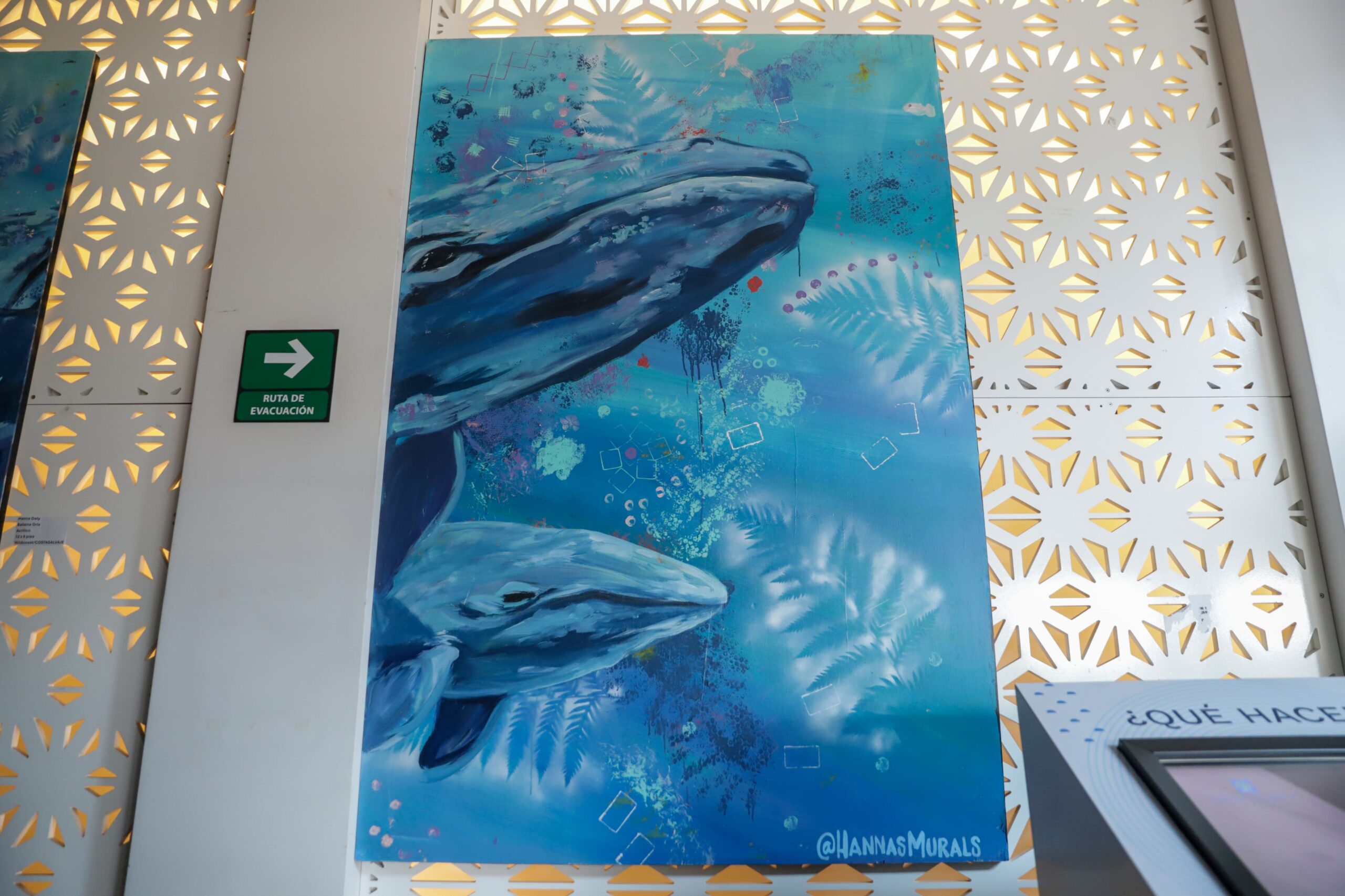 Por medio del arte hacen un llamado a proteger la vida marina