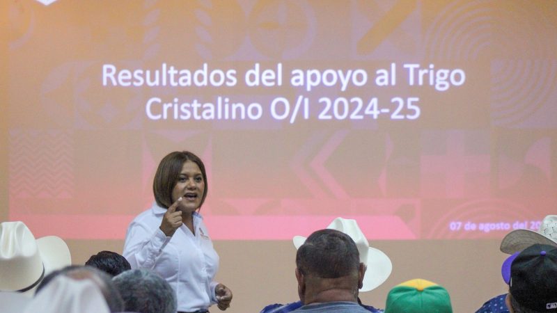 Arranca en septiembre pago de estímulos del trigo cristalino en Mexicali