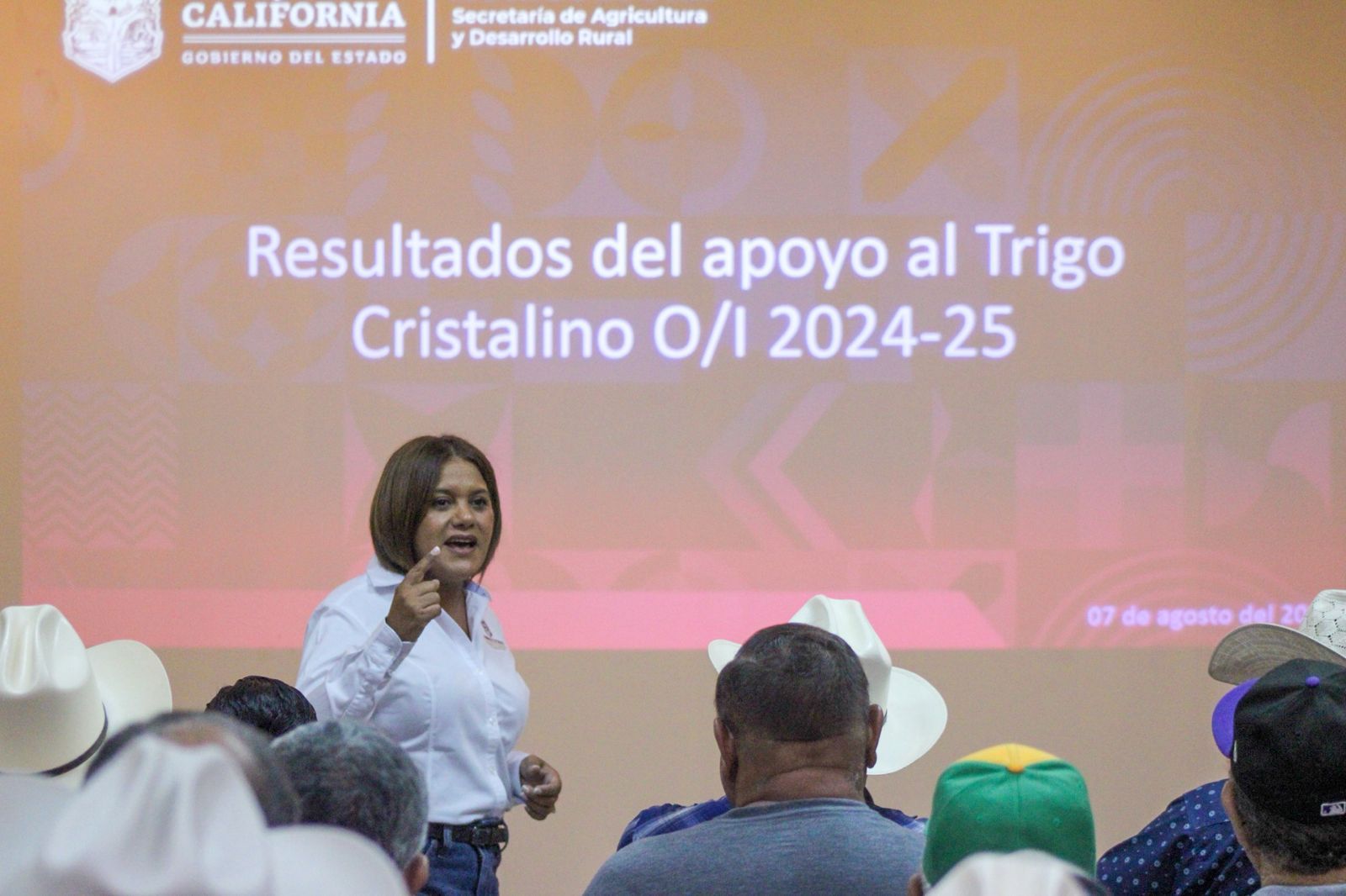 Arranca en septiembre pago de estímulos del trigo cristalino en Mexicali
