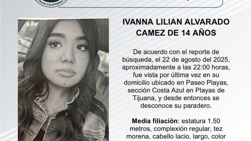 Pesquisa de Ivanna Lilian Alvarado Camez de 14 años