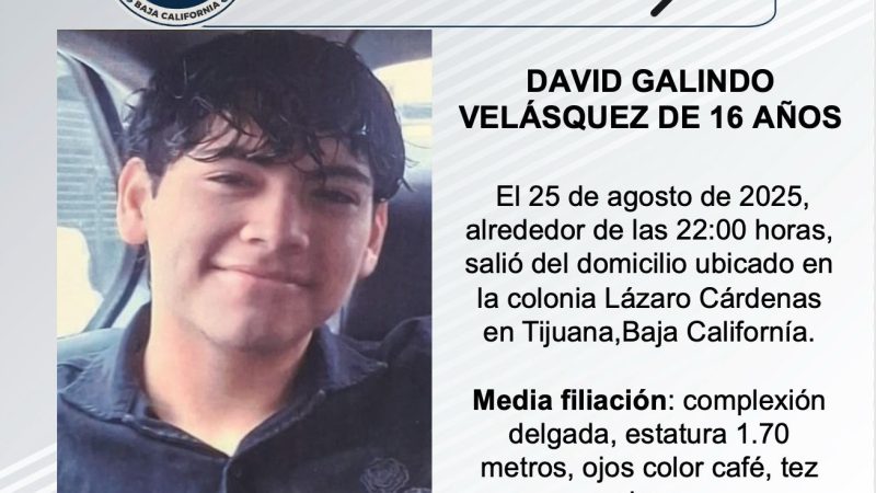 Pesquisa de David Galindo Velásquez de 16 años de edad