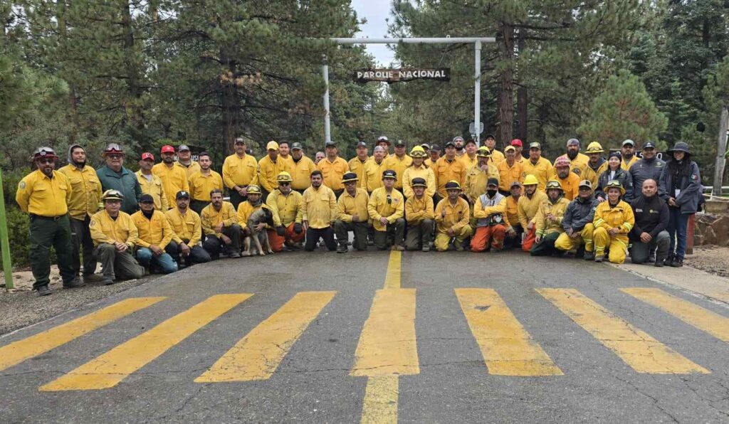 Declaran liquidados los incendios de San Pedro Mártir en Sierra de Juarez