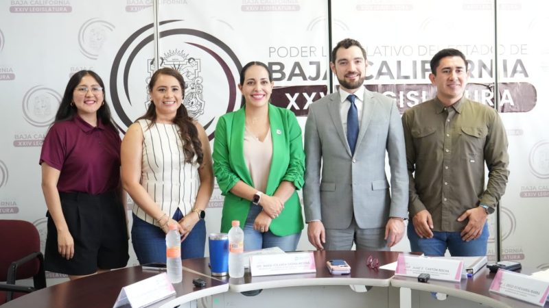 Aprueban pormenores para realizar Foros para la Revisión y Actualización de la Ley de Participación Ciudadana