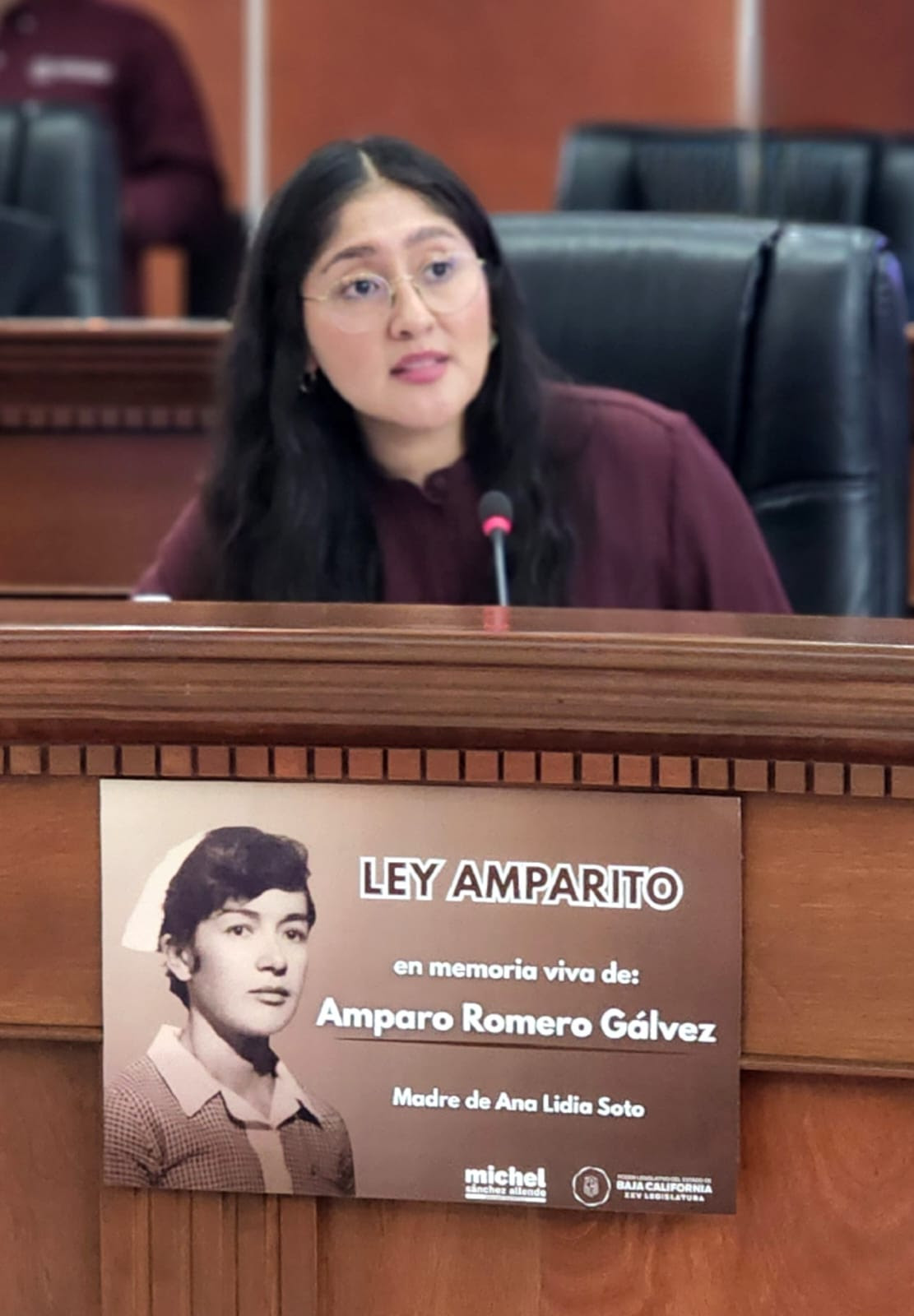 Aprueba Congreso reforma que sanciona con cárcel a dueños negligentes de animales agresores