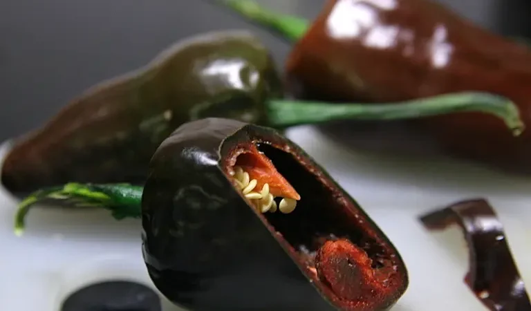 Chile chilhuacle: Origen y tradición del chile más caro de México