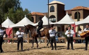Conquista la “2ª Feria del Caballo” al Valle de Guadalupe
