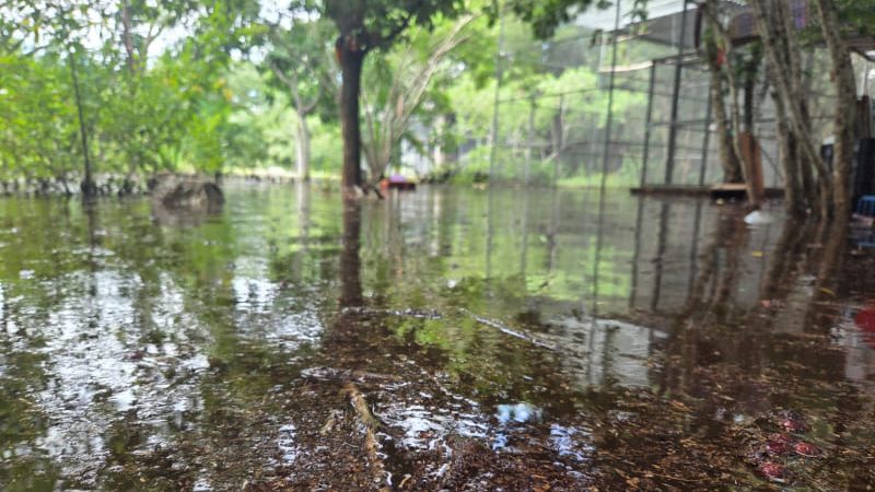 Se Inunda El Refugio de Loros de Proyecto Santa María; Mérida, Yucatán