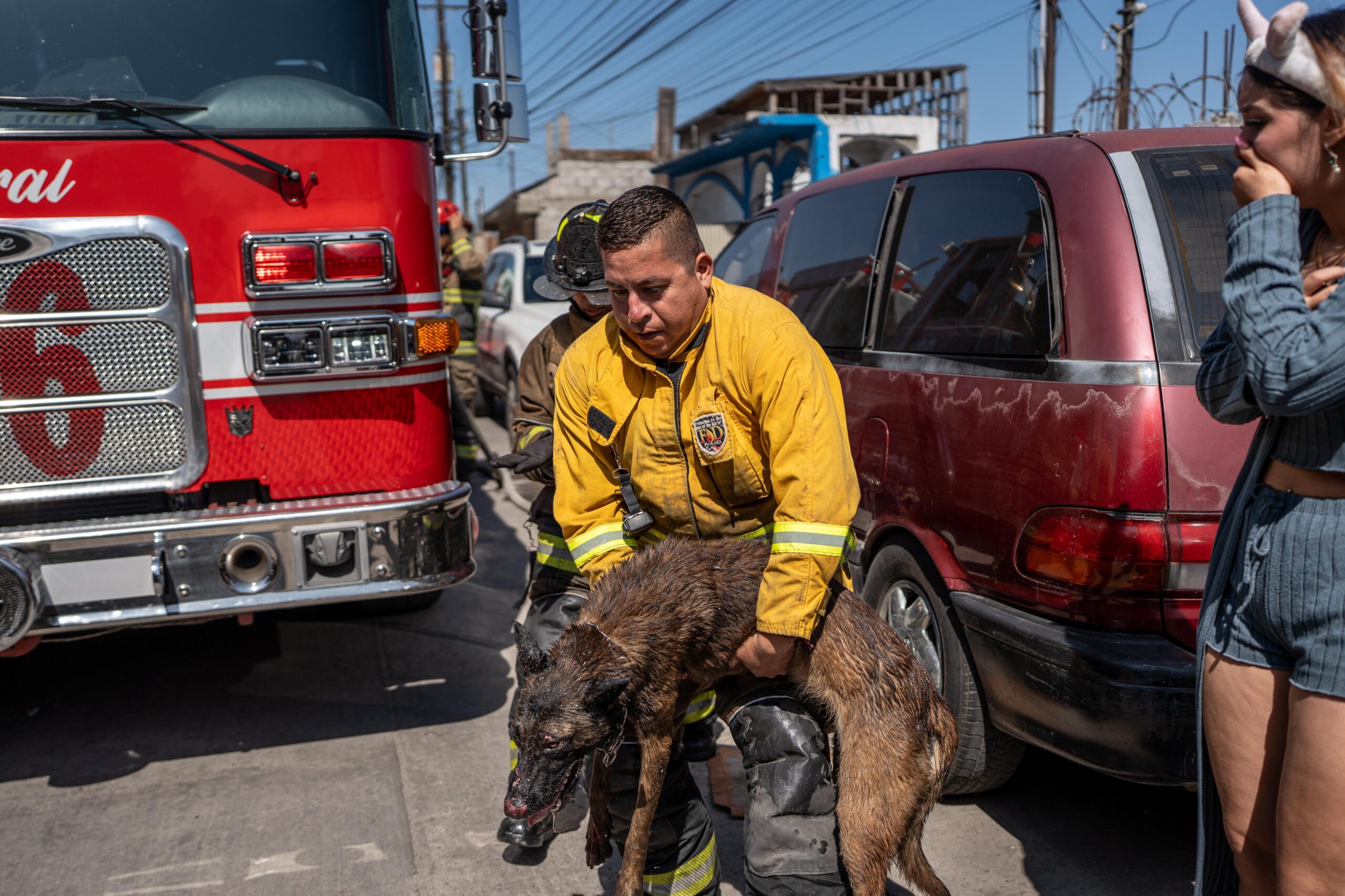 Bomberos sofocan incendio en Lomas Taurinas;rescatan a dos perros