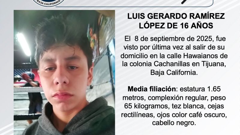 Pesquisa de Luis Gerardo Ramírez López de 16 años de edad