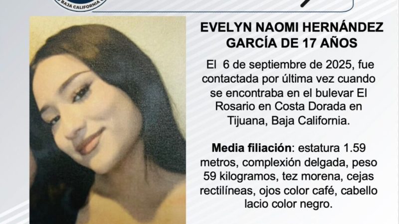Pesquisa de Evelyn Naomi Hernández García de 17 años de edad