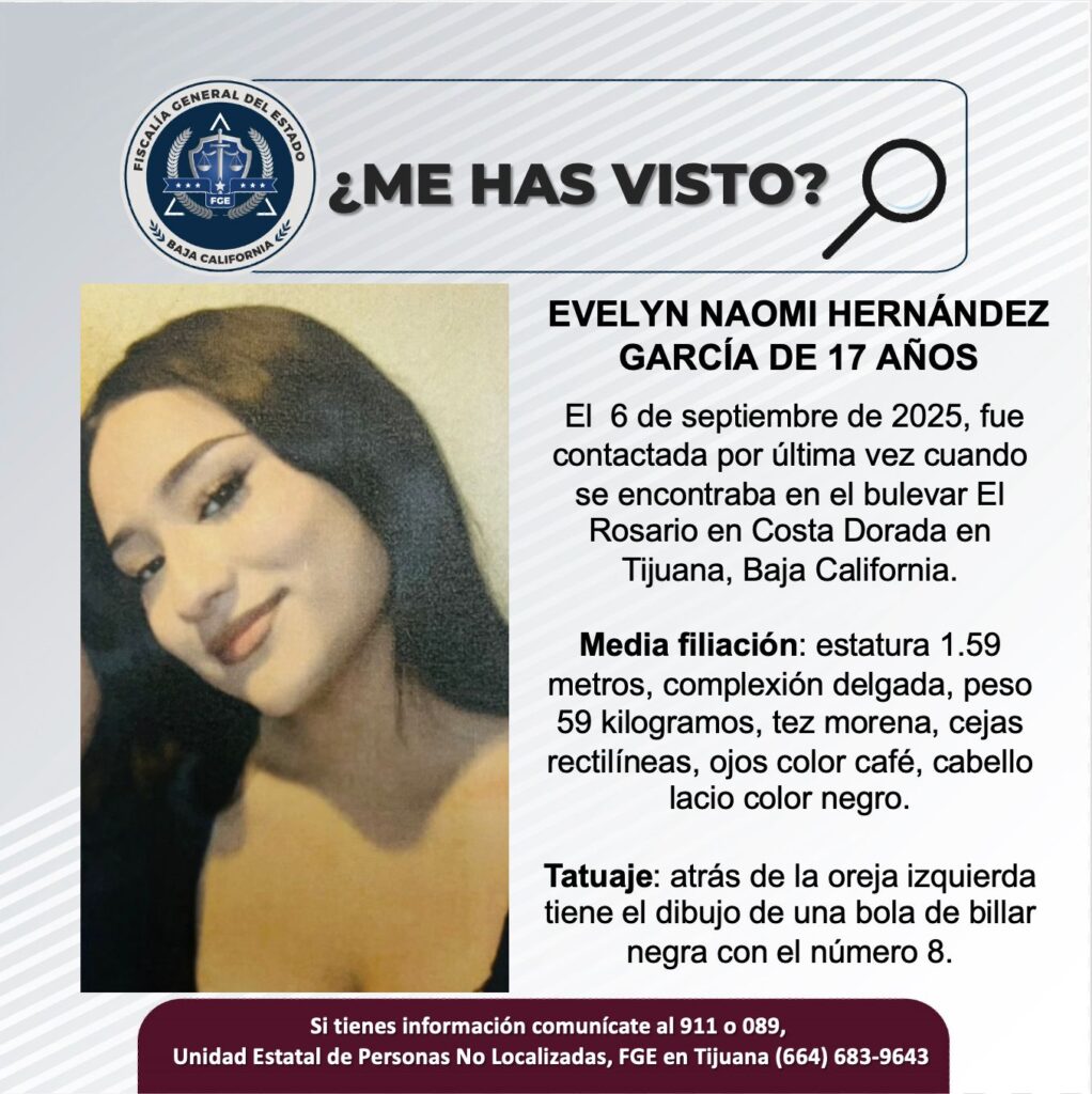 Pesquisa de Evelyn Naomi Hernández García de 17 años de edad