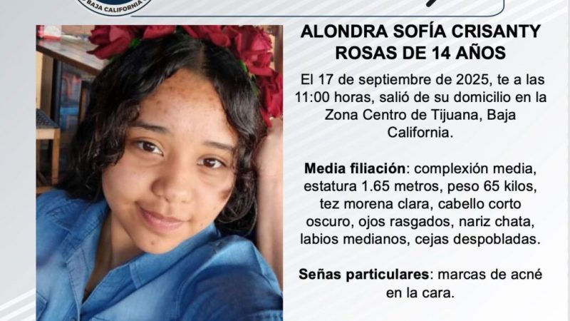 Pesquisa de Alondra Sofía Crisanty Rosas de 14 años de edad