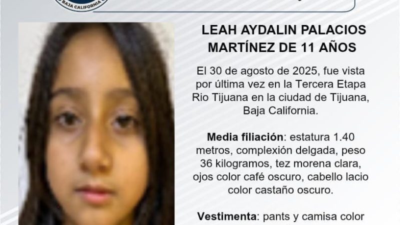 Pesquisa de Leah Aydalin Palacios Martinez de 11 años