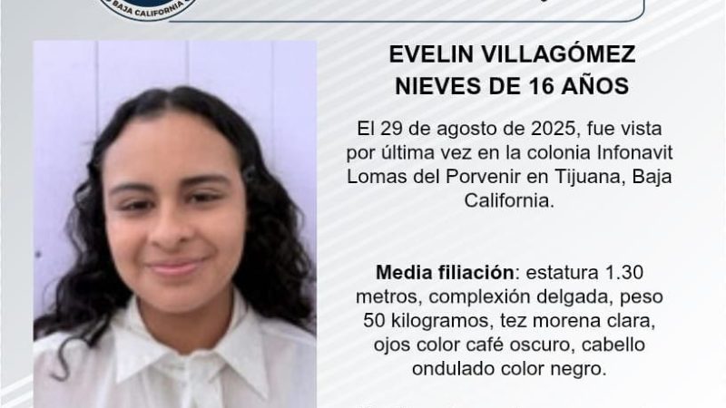 Pesquisa de Evelin Villagómez Nives de 16 años de edad