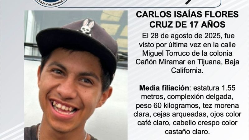 Pesquisa de Carlos Isaías Flores Cruz de 17 años de edad