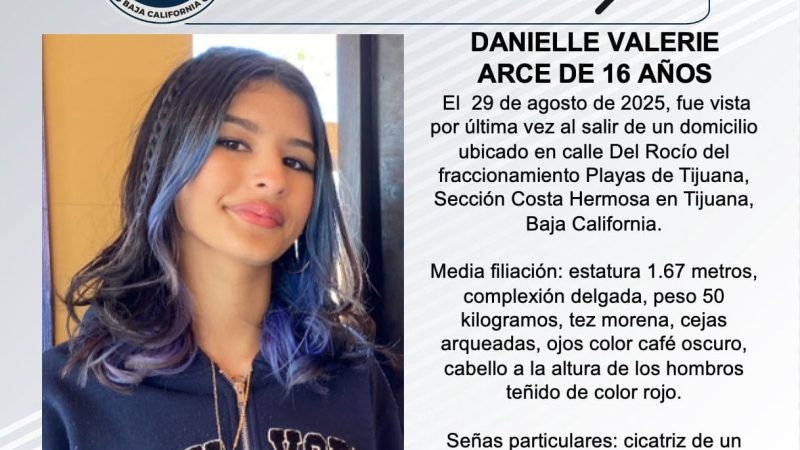 Pesquisa de Danielle Valerie Arce de 16 años de edad