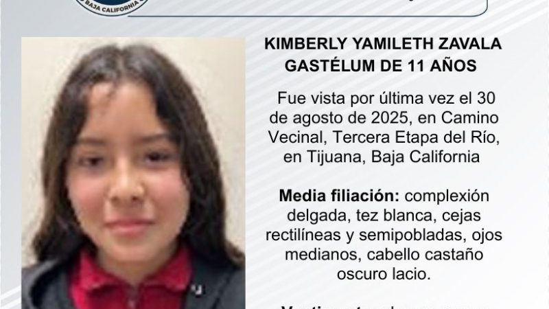 Pesquisa de Kimberly Yamileth Zavala Gastélum de 11 años de edad