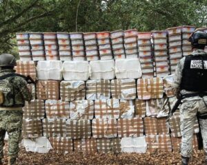 Aseguran 20 toneladas de droga en medio año en Baja California