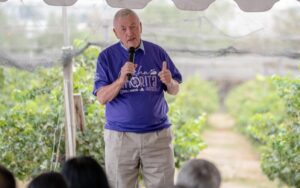 La Morita: viñedo experimental de Tijuana aprovecha agua tratada